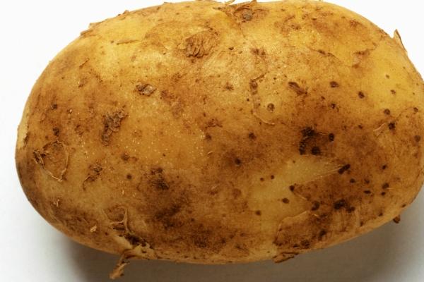 74属虎人五十岁以后的财运，财运如何