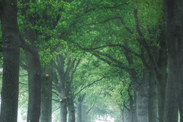 1960年属鼠人2024年运势及运势男，60年64岁属相鼠2024年全年度运势详细说明