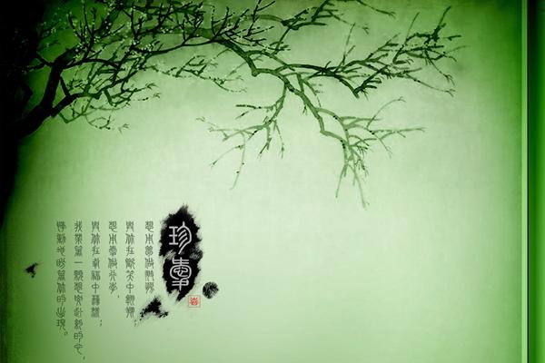 属蛇33岁之后的命运如何 属蛇击中有横财 属蛇33岁之后的命运如何 属蛇击中有横财