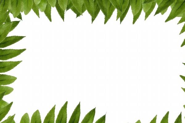 牛跟虎的生肖是不是婚配 二人的婚配提议 牛跟虎的生肖是不是婚配 二人的婚配提议