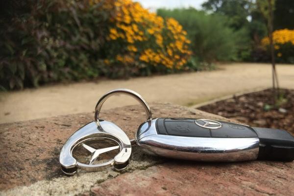 狗属相2024运势年运势 运势一般生活平平淡淡