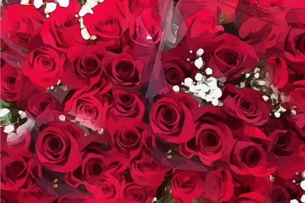 1993年属鸡的吉祥数字和颜色 数字九通长期 1993年属鸡的吉祥数字和颜色 数字九通长期