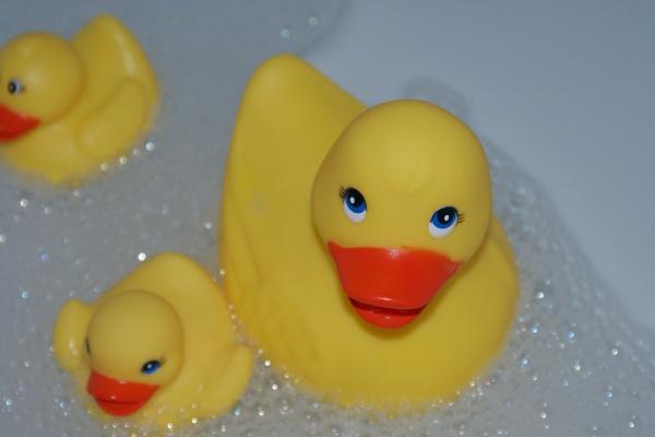 2024能结婚的生肖 什么生肖能够结婚