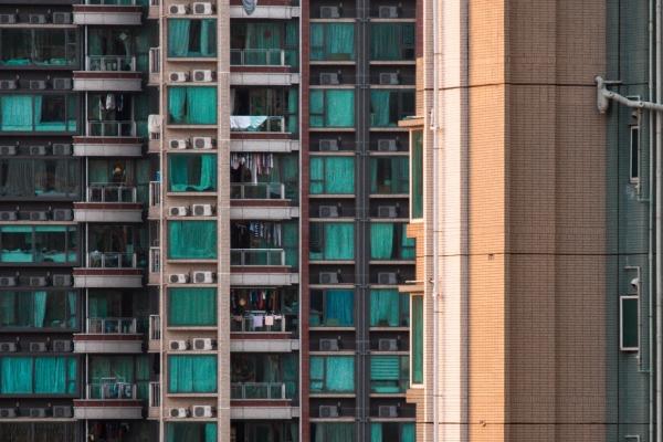 2024有财运的生肖 财务收入平稳开朗