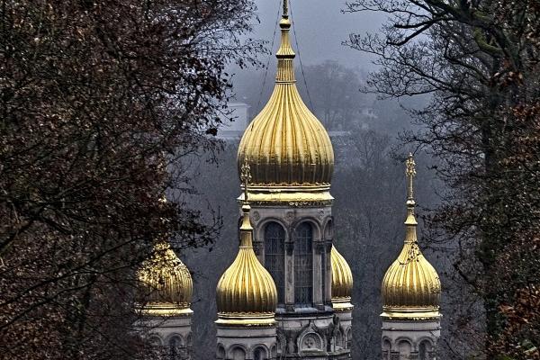 属兔的生属龙的宝宝怎么样 父母属兔生什么宝宝好