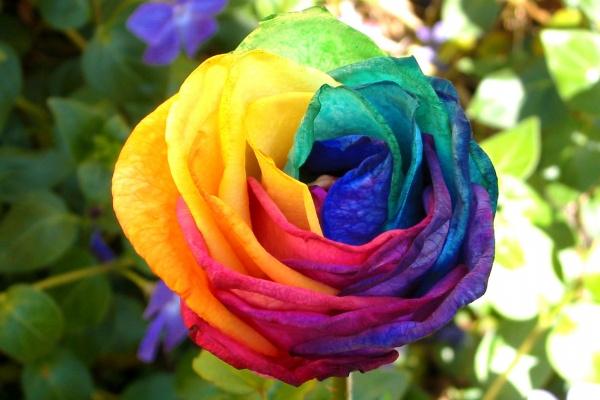 属猴和属猴婚姻相配吗 属猴和属猴的可以做夫妇吗