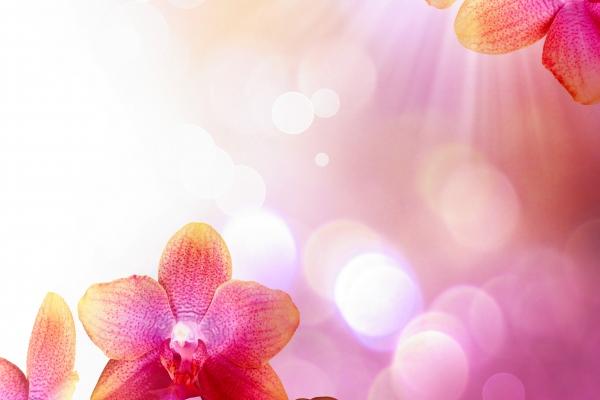 07年五行属什么命 07年出生命运剖析