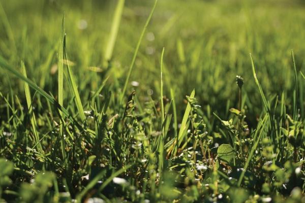 88年龙女本命年可以佩戴黄金吗，88年属龙女2024年戴什么最好