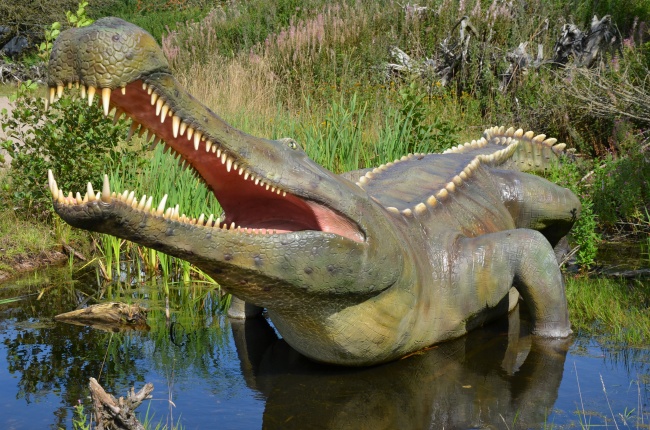 最用到脑子的生肖男 狗男最善沟通脑子灵便