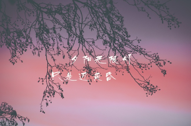 96年生的鼠是早婚或是晚婚，属鼠的绝佳婚配