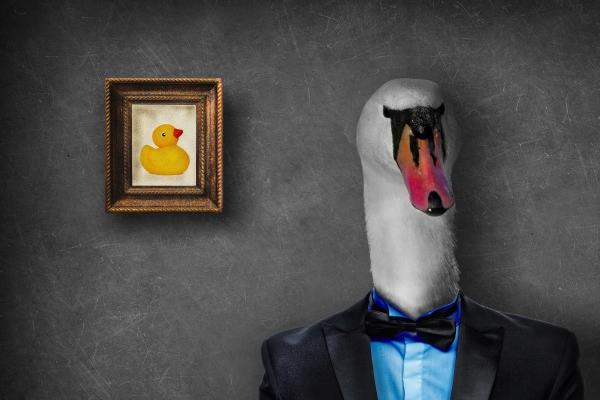 2024招桃花的属相 还有机会寻找正缘