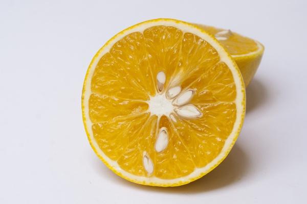 属猪女和属鸡男孩子合不合 猪女和鸡男常见问题