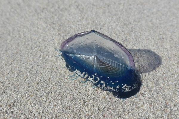 喜用神为水增运法，五行喜水的人如何转运