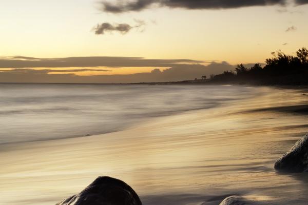 2024龙年好运的生肖 哪些生肖会出现好运