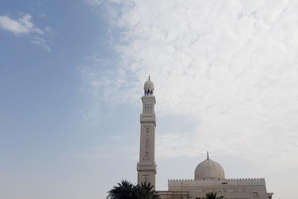 属羊男和属鼠女婚姻配吗 男属羊与女属鼠合婚怎样