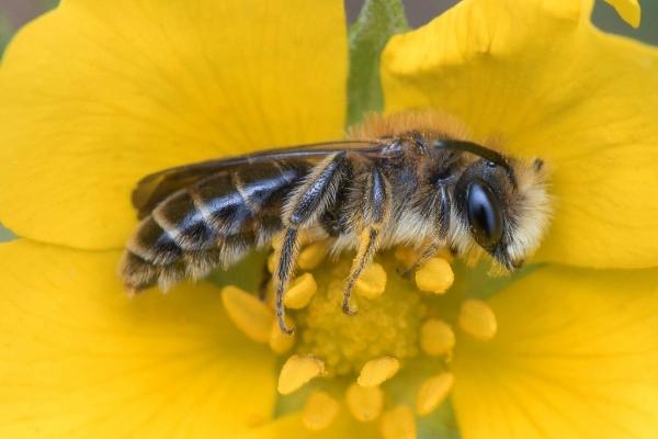 2024复合的生肖女 前任复合的生肖