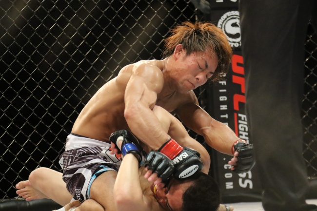 属狗婚配哪个属相最好 兔狗相互信任相互扶持