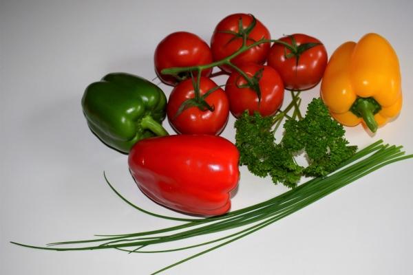 高智商的属相 聪慧富有智慧