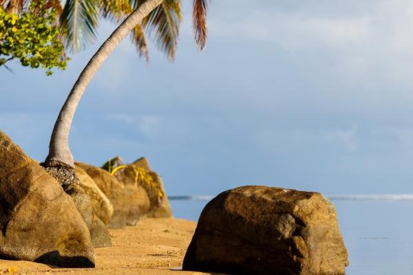 2024好运数最多的生肖 运势充沛的生肖