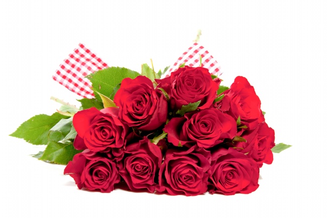 头脑有点儿蠢的生肖 头脑愚钝感性思索