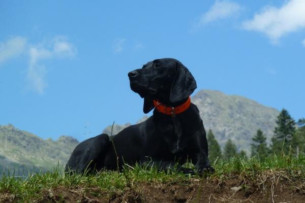 属兔女和属龙男孩子婚配如何 女兔男龙匹配优点和缺点