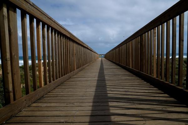 1954年属马人2024年运势及运势男，54年70岁属相马2024年全年度运势详细说明