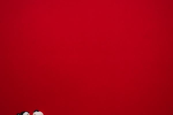 属猪女生找对象属啥好 猪女兔男彼此爱惜