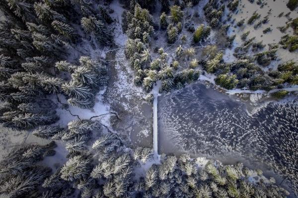 龙虎融合婚缘好吗 龙虎性格怎样
