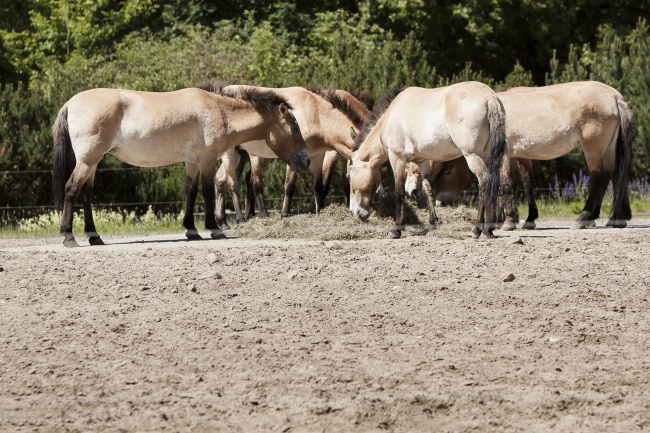 99年属兔25岁有一灾，有哪些灾难