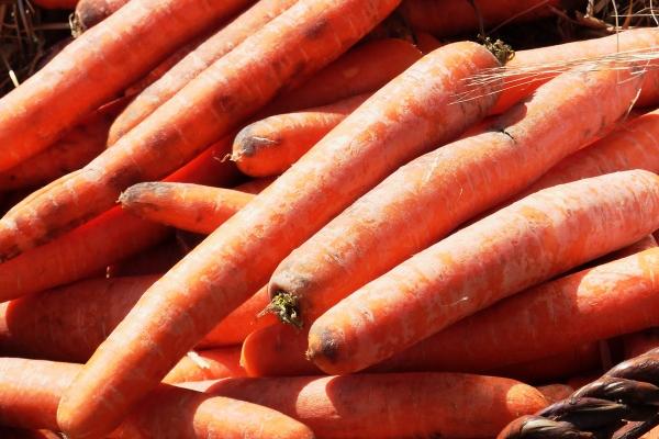 2024运气好一点的生肖 惊喜多多发展好 2024运气好一点的生肖 惊喜多多发展好