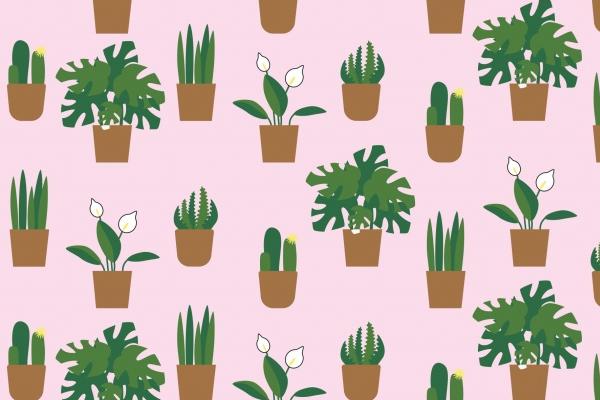 1988年出生2024年运势 浅说运势剖析详细信息 1988年出生2024年运势 浅说运势剖析详细信息