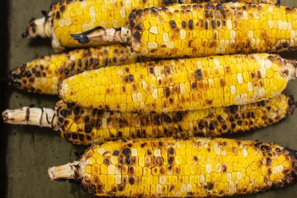 2024年的属相运势全集 十二生肖运势详细信息