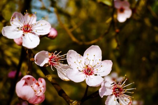 1988年的龙什么时候走财运,属龙财运最旺的年份 1988年的龙什么时候走财运,属龙财运最旺的年份