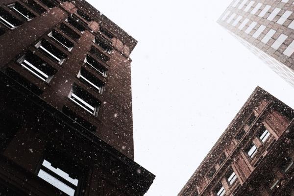 第一运势 2023年11月25日十二生肖运势分析 第一运势 2023年11月25日十二生肖运势分析