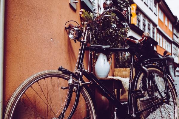 2018年属狗人2024年运势及运程女，18年6岁生肖狗2024年全年运势详解