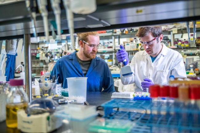 75年属兔男与76年龙女婚配 属龙和属兔相配吗