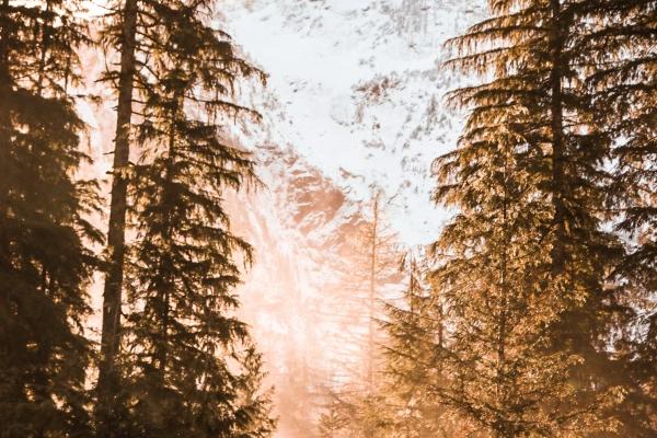 1995年属猪人2024年运势及运程女，95年29岁生肖猪2024年全年运势详解