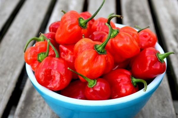 1980年出生的人2024年逢九吗，逢九年需要注意什么