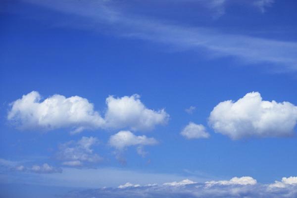 1976年属龙的绝佳婚配 属龙人婚配提议