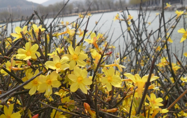 24岁本命年的大忌 24岁本命年应当注意什么 24岁本命年的大忌 24岁本命年应当注意什么