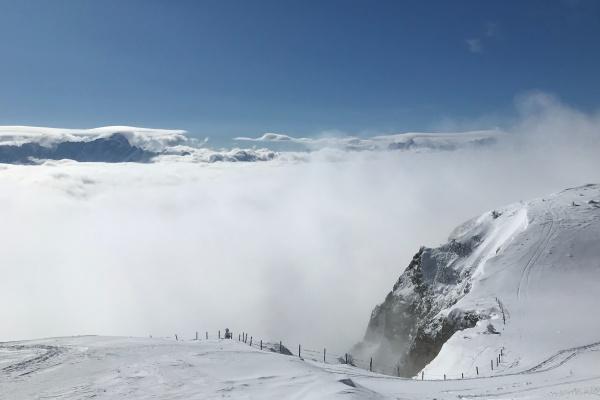 75年属兔男和76年属龙女婚姻 龙兔性情配对吗