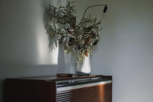 2024添喜的生肖 2024年适宜生宝宝的生肖