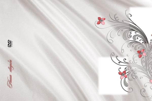 属相羊的婚姻2024 属羊人2024年婚姻运势