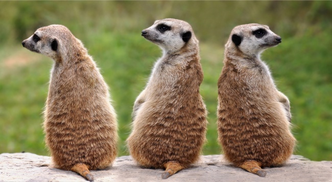 1987年兔爸爸生2024年龙小宝宝好吗，1987年属兔2024年忌讳