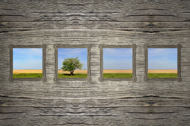 亥时出生的女孩婚姻 属相亥时命运分析 亥时出生的女孩婚姻 属相亥时命运分析