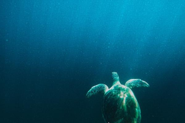 2024破太岁的生肖 破太岁应该怎么化解