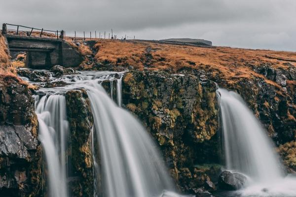 麦玲玲属蛇人2024年全年运势运程详解