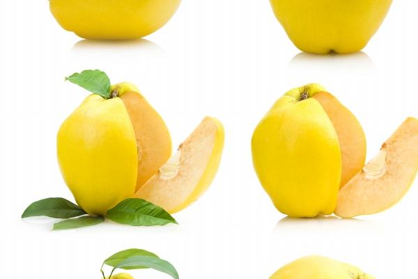 62年属虎2024年有大喜压身,有哪些喜事来临 62年属虎2024年有大喜压身,有哪些喜事来临