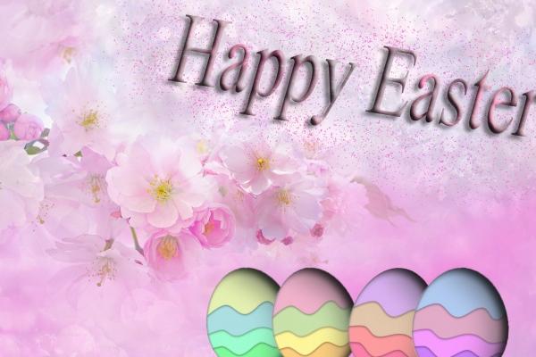 1983年属猪人2024年运势及运程女，83年41岁生肖猪2024年全年运势详解