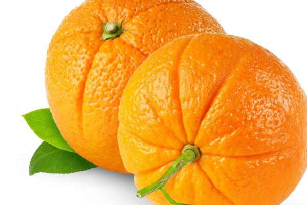 2024年龙年犯太岁的4个生肖 理智发展谨慎行事 2024年龙年犯太岁的4个生肖 理智发展谨慎行事